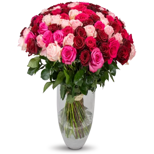 kytice ekvádorských růží 80 cm